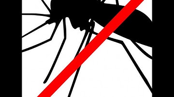 Best Mosquito Repellent Sound Based on Research (10kHz ultrasound) - 1 Hour
