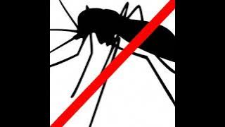 Best Mosquito Repellent Sound Based on Research (10kHz ultrasound) - 1 Hour