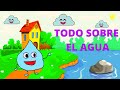 EL AGUA PARA NIÑOS/ En Español/ EXPLICACIÓN para niños/ El ciclo/Que es? ¿ Como es? ¿ Donde está?..