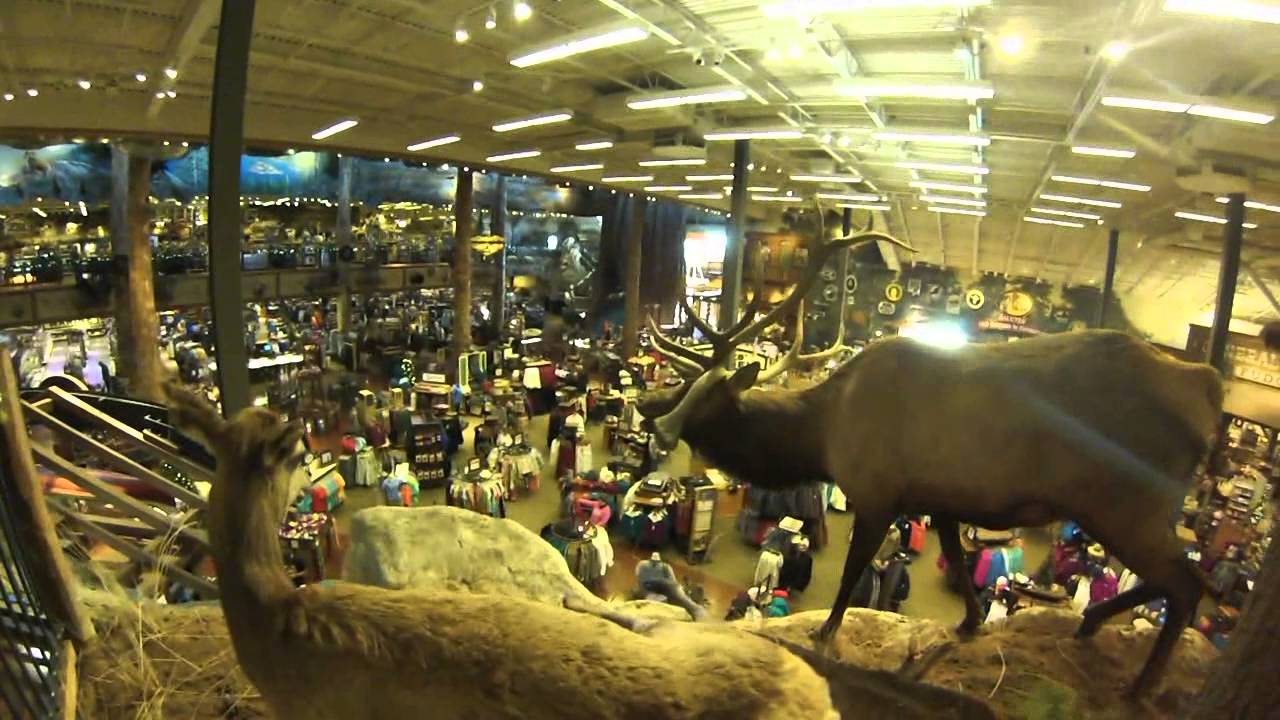 joja198 en bass pro shops de manteca california YouTube
