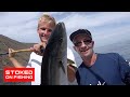Calico Bass and Yellowtail Fishing off San Clemente Island + Hammerhead Shark Attacks Seal