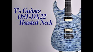 t‘s guitars  dx22