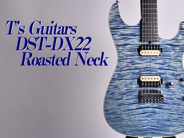 t‘s guitars  dx22