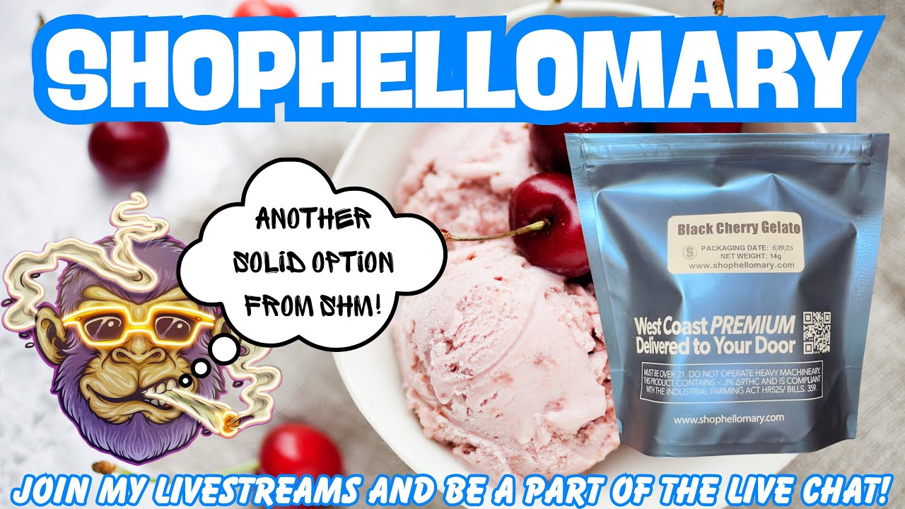 SHOPHELLOMARY FLOWER REVIEW: Black Cherry Gelato(🍒🍧🔥) Use Code (SPACECITY)