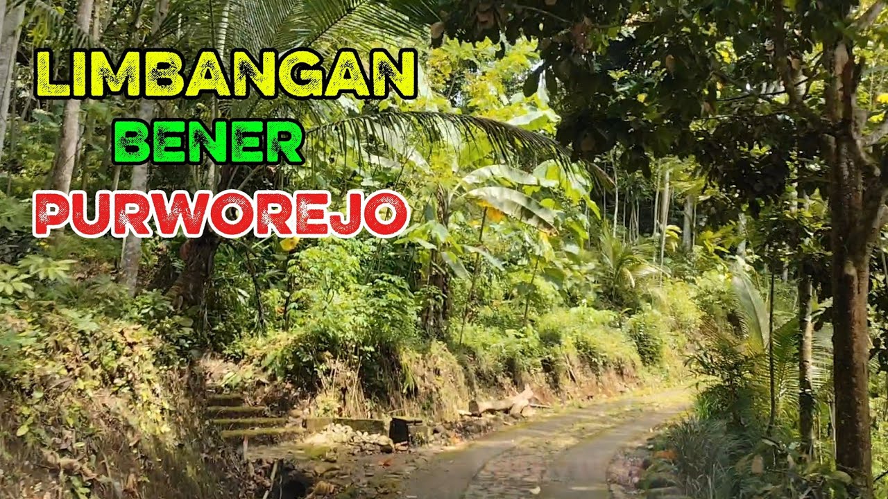 LIMBANGAN BENER PURWOREJO