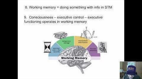 Neural Cognitive Learning - 4 memory