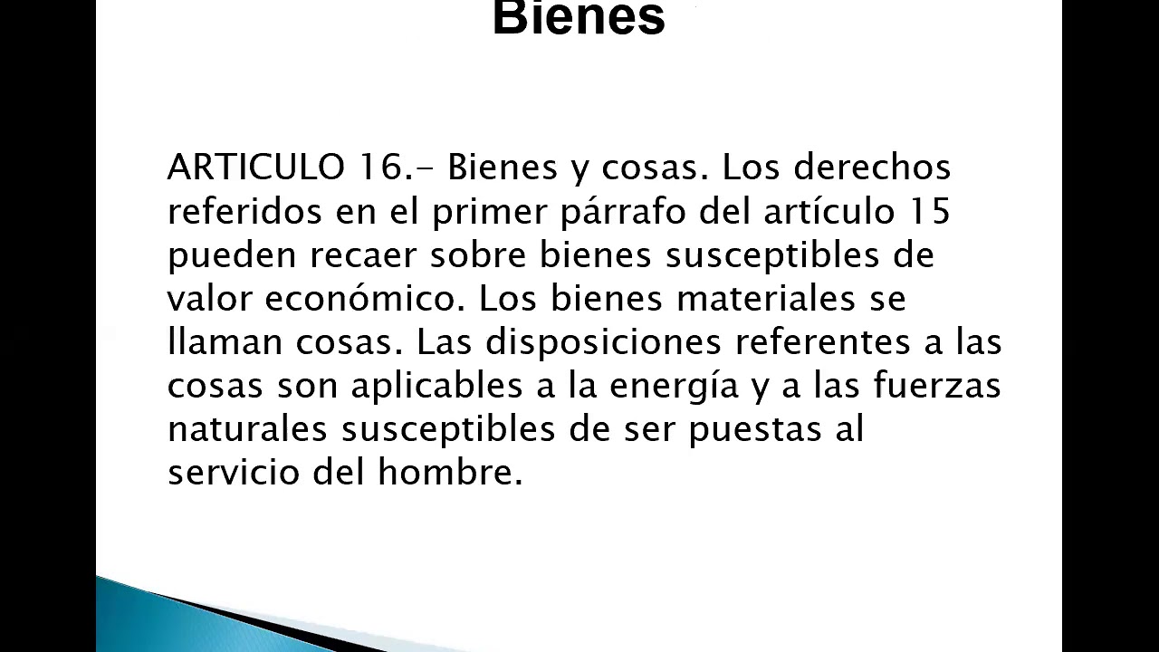 Patrimonio - Bienes y cosas (1/2)