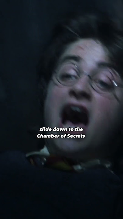 Have you ever wondered about this plot hole in Harry Potter?