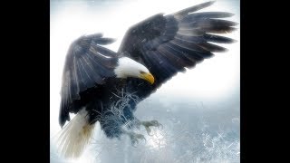 Eagle Blessing