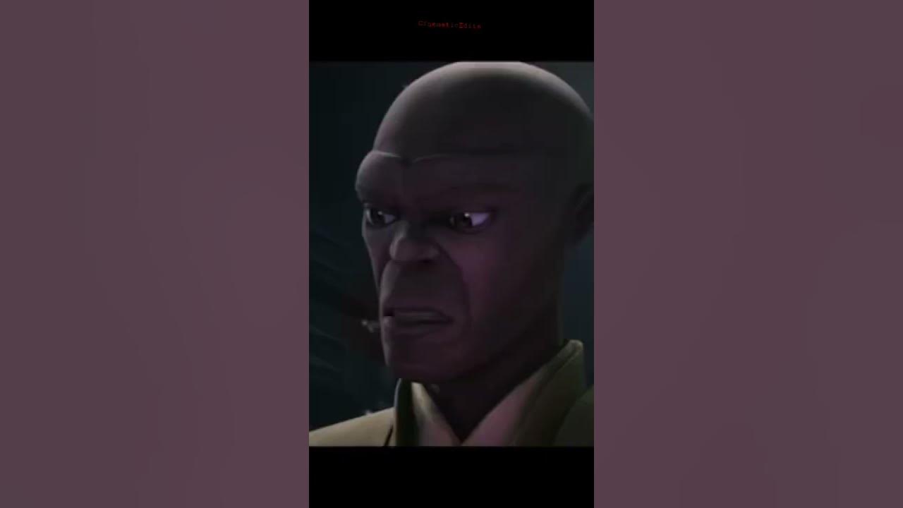 Absolutely No One Mace Windu Attempting To Negotiate With Battle