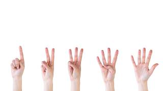 Ballot Hand Counting Hopium Heartache or Heroism Let s Learn