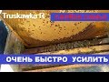 Семьи #пчёл, очень слабые весной. Как за 25-30 дней сделать из них сильную семью.