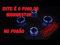 como adaptar o FOGÃO para BIOGÁS Direto do BIODIGESTOR #sustentabilidade não precisa vale gás 2021