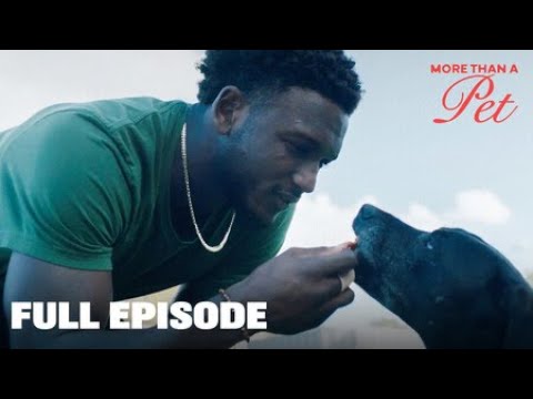 Hill's Pet Nutrition, PetSmart Team Up with Football Star Chris Godwin to Celebrate the Real MVPs: Our Pets