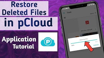 How to restore Deleted Files in pCloud App
