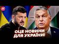 ⚡Екстрене РІШЕННЯ по Україні! Орбан НАКИНУВСЯ на Зеленського. Неочікувано НОВА ВІЙНА підняла всіх