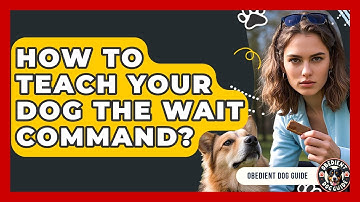 How To Teach Your Dog The Wait Command? - Obedient Dog Guide