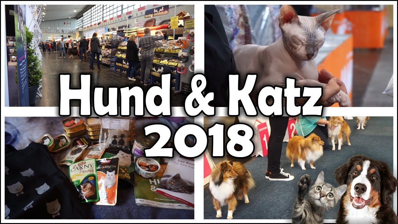 Hund Und Katz Messe Hunde 2019 10 28