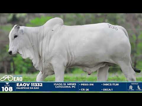 LOTE 108