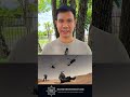 เฮลิคอปเตอร์"AH-6 Little Bird"ดีจริงไหม?
