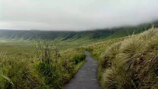 pertama kali bromo (31 januari 2021 pertama kali bromo (31 januari 2021