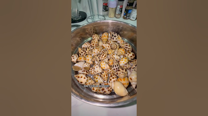 Making Escargot From Scratch