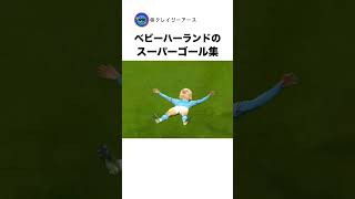 ベビーハーランドのスーパーゴールTOP3