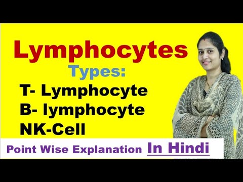 Lymphocytes in Hindi | Types of Lymphocytes | B cells | T cells | NK