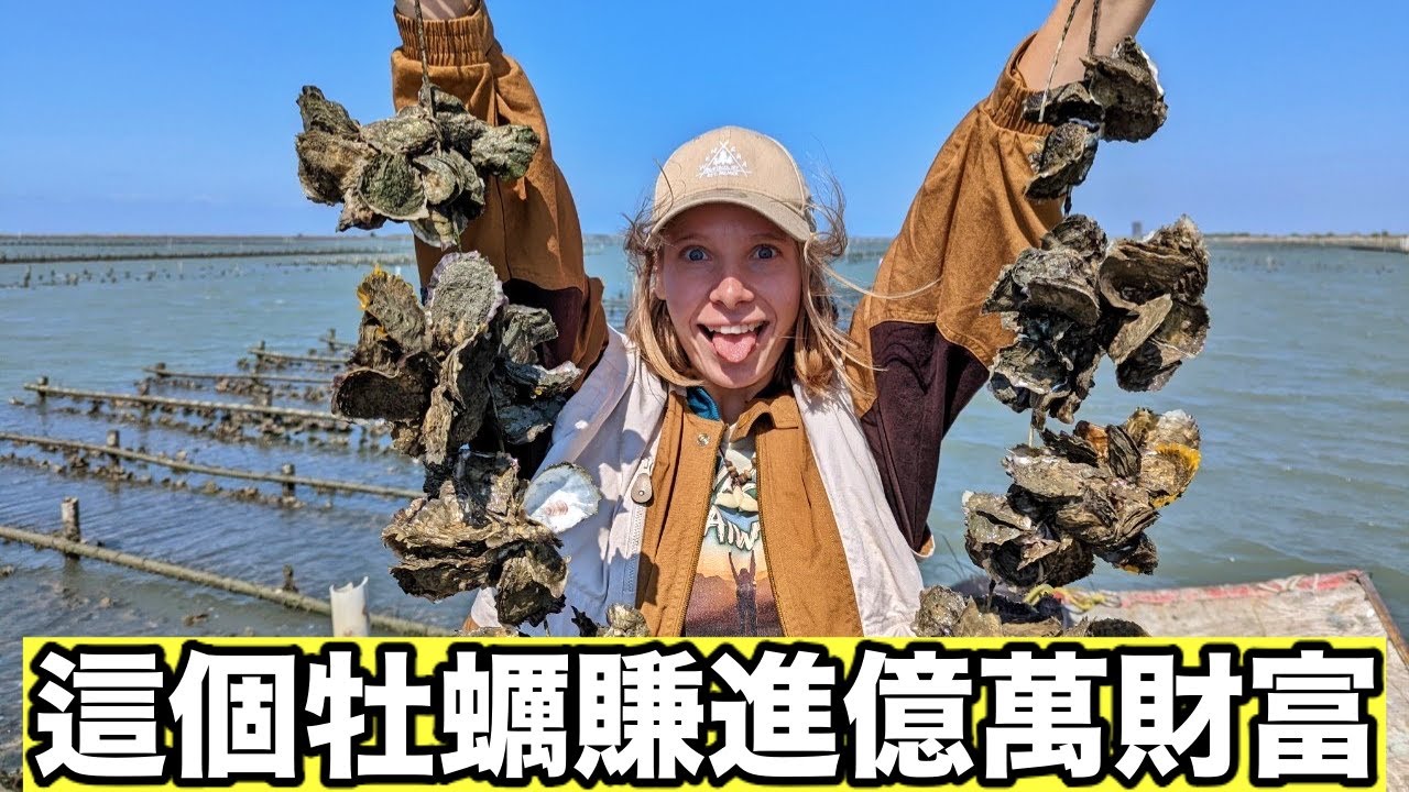 牡蠣竟然每年為這裡賺進10億  真正的大海珍寶！350元就能吃到飽！台南祕境無人島探險！台南龍山社區