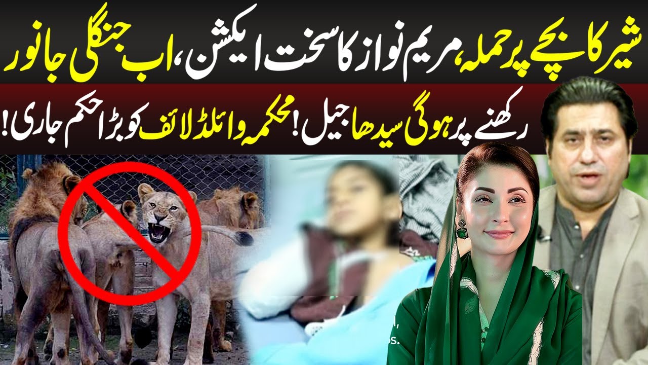 Maryam Nawaz Takes Strict Action, Pet Lions Banned | News Night | 27 January 2026 | Lahore Rang
