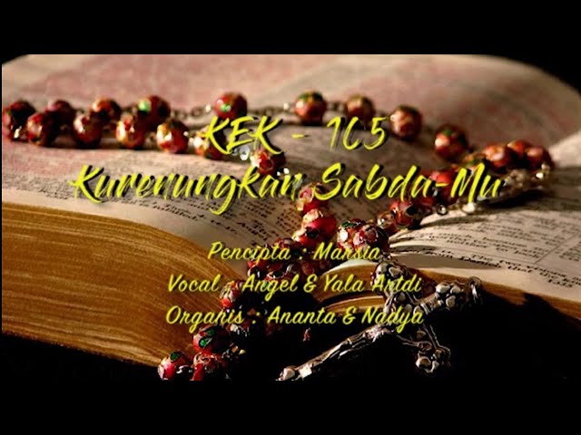 Katta mushuk bilan etuk ayol