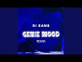 GENIE MOOD (Remix)