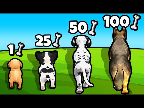 Видео: ЭВОЛЮЦИЯ СОБАКИ, МАКСИМАЛЬНЫЙ УРОВЕНЬ! | Dog Evolution Run