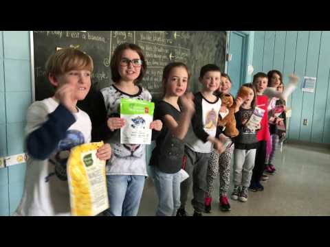 Grade 3 Practice The Verb To Like - March 3rd, 2017