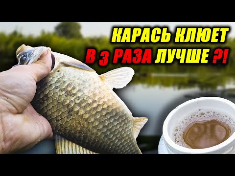 Видео: Простейший ЧЕСНОЧНЫЙ АРОМАТИЗАТОР для РЫБАЛКИ! Ловля КАРАСЯ на ПОПЛАВОК! Рецепт КАШИ на КАРАСЯ!