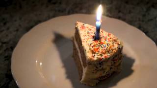 Book Trailer for ONE MORE DAY 