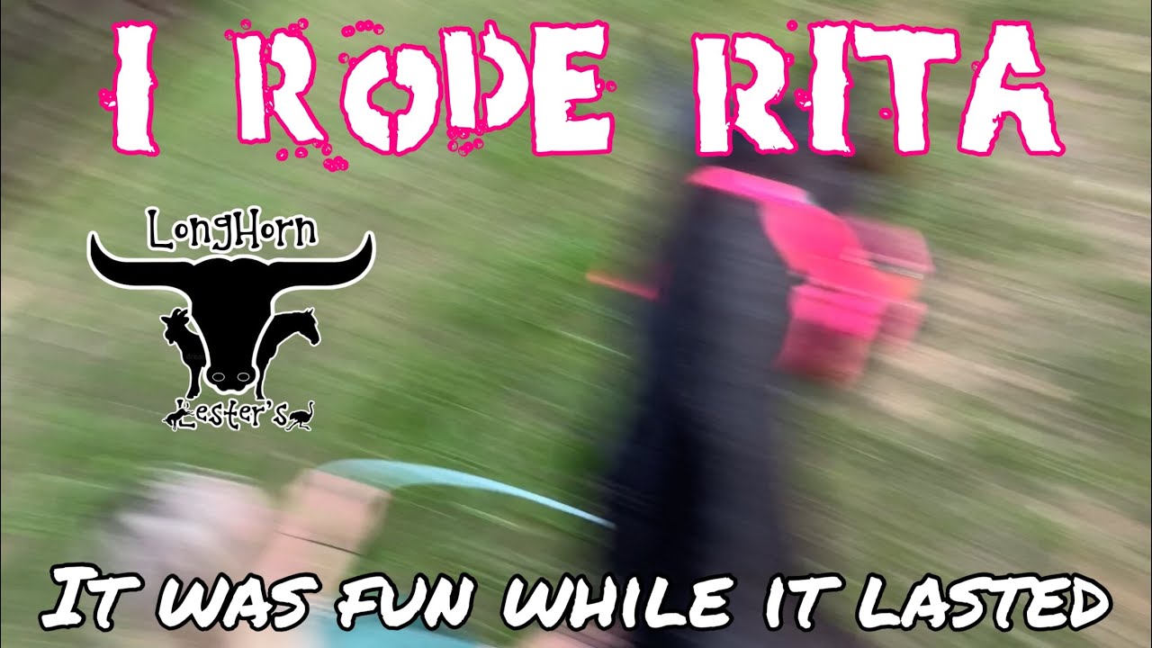 Riding 2 year old Rescue Horse - YouTube