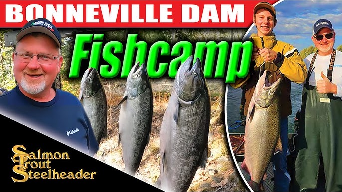 Salmon Trout Steelheader Podcast #3 High Water Steelhead Spots + Lethargic  Steelhead? Bite styles. 