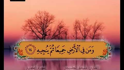 سورة المعارج 11 20