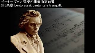 バリリ四重奏団 ベートーヴェン 弦楽四重奏曲第16番 作品135 Beethoven