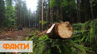 На Волыни активисты начали ловить браконьеров в фотоловушки На Волыни активисты начали ловить браконьеров в фотоловушки