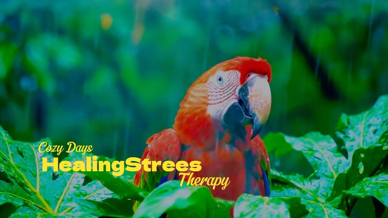 Soothing Birdsong🕊️🕊️🕊️ & Piano Instant Stress Relief - Peaceful Piano  Soothing Relaxation