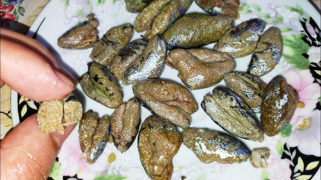 من اغلي انواع السمك الشبار الجوابي الاخضر المزقلط وهو مبطرخ اد صباع  والفرق بينه وبين الشبار الابيض