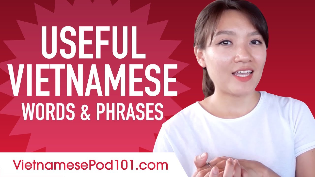 ⁣Useful Vietnamese Words & Phrases to Speak Like a Native