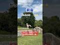 かっこよく段差から下りられる空中回転技３選✨
