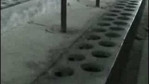 Lessons from Auschwitz