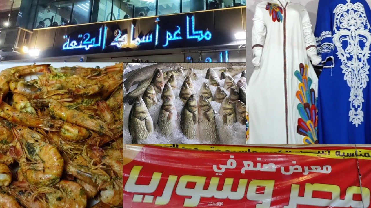 فلوج إسكندرية ج٢ 🌊 ماينفعش نروح إسكندرية من غير مانزور الكتعه 🍤🦐