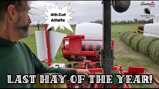 Taking In The Last Hay Of The Year!