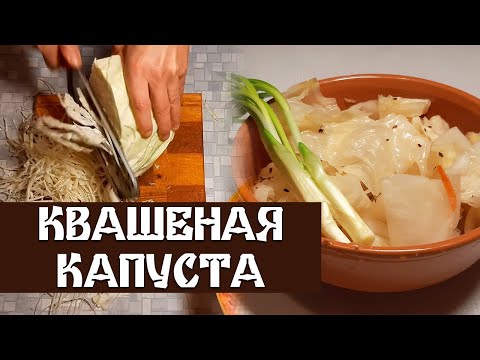 ЭТОТ РЕЦЕПТ КВАШЕНОЙ КАПУСТЫ ВСЕ ОСТАЛЬНОЕ САЛАТ КАПУСТНЫЙ