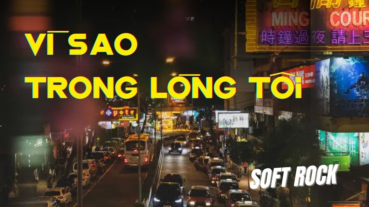 Vì Sao Trong Lòng Tôi | 誰明浪子心 | Nhạc Hoa Lời Việt